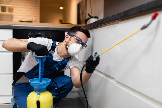 Best Exterminator Services  in New Cordell, OK