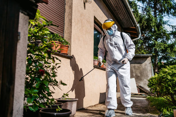 Best Wasp Removal Services  in New Cordell, OK