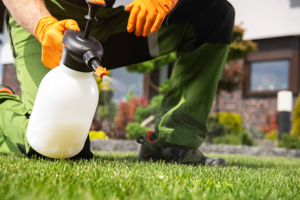 Best Flea Control Services  in New Cordell, OK