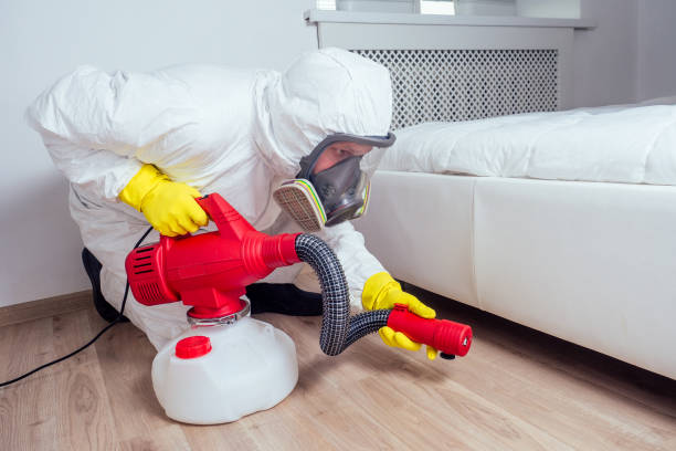 Best Mosquito Control Services  in New Cordell, OK