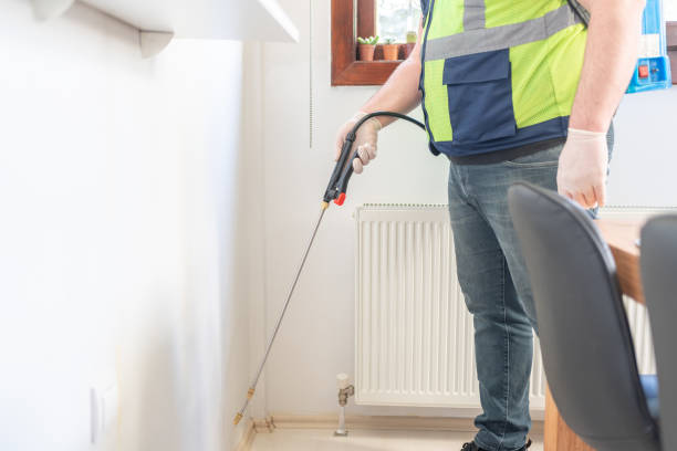 Best Ant Control Services  in New Cordell, OK
