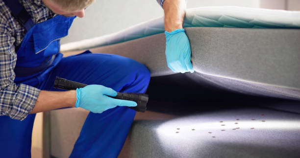 Best Affordable Pest Control Services  in New Cordell, OK