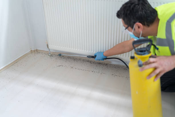 Best Pest Removal Services  in New Cordell, OK